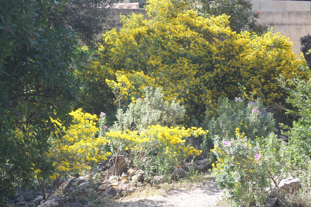 A L'Est D'Uzes Villa Saint-Siffret Buitenkant foto