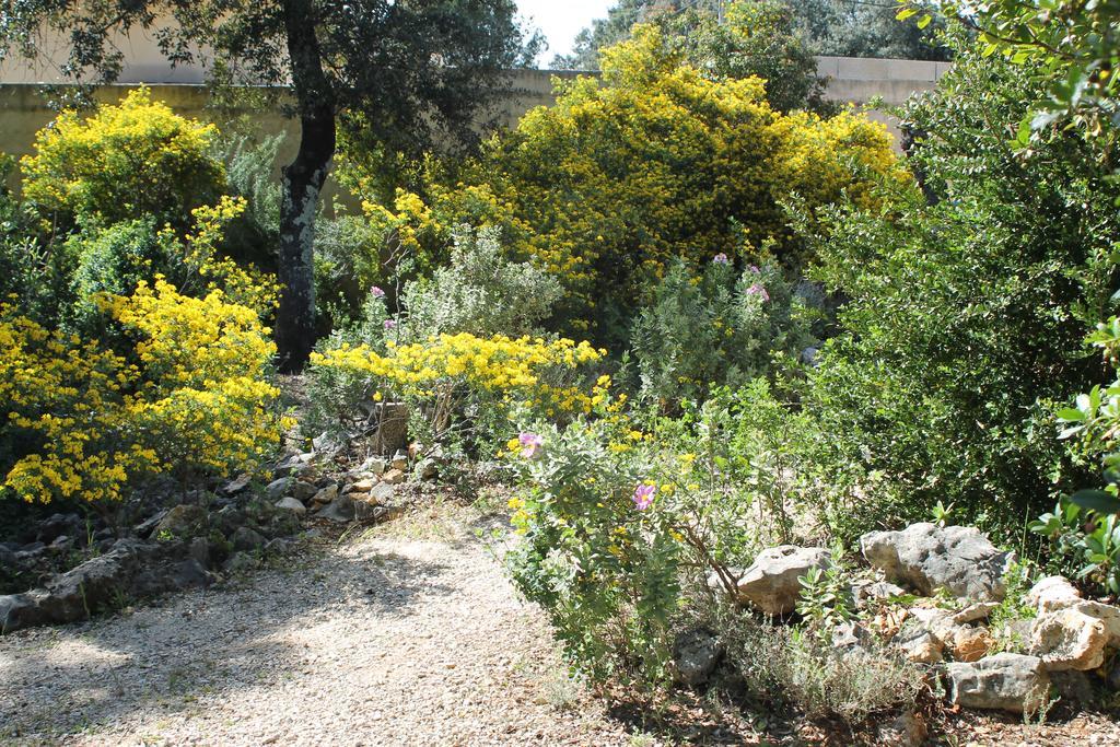 A L'Est D'Uzes Villa Saint-Siffret Buitenkant foto